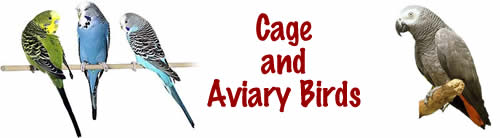 Cage and Aviary Birds Title